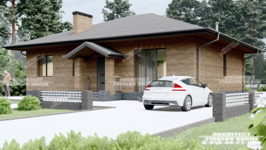 Проект ДОМА ZV-219